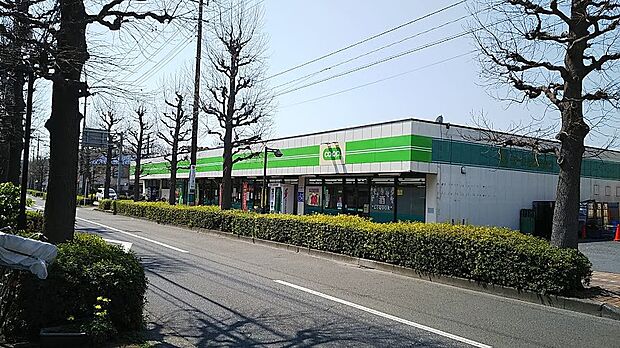 ミニコープ府中南店(約750m)