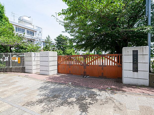 府中市立府中第一中学校(約550m)