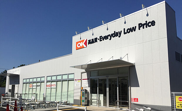 オーケー西国分寺店（約610m）