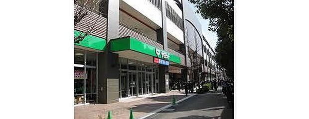 サミットストアミナノ分倍河原店（約780m）