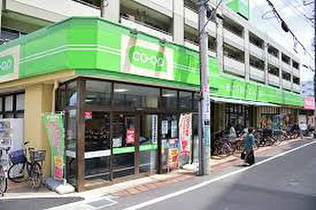 コープ日野駅前店(約850m)