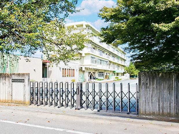 国分寺市立第十小学校(約570m)