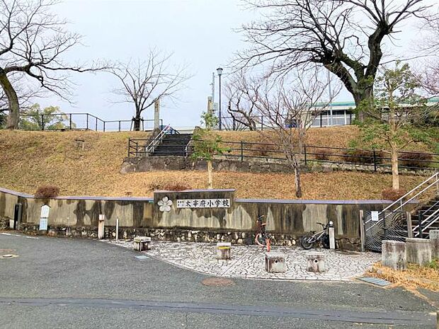 太宰府小学校(約540m)