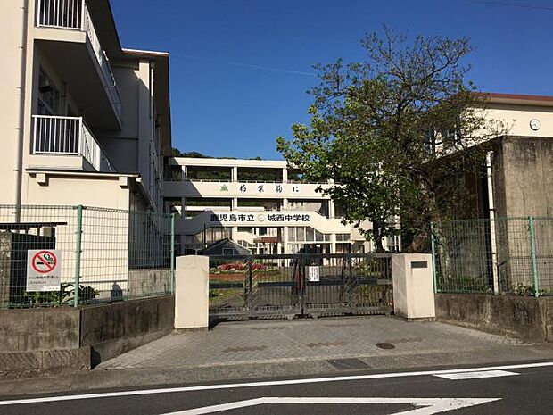 城西中学校(約750m)