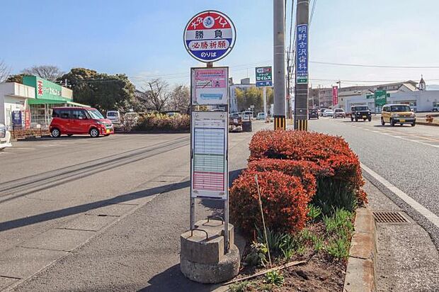 勝負バス停(約500m)