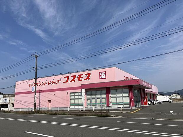 ドラッグストアコスモス堀池店（約550m）