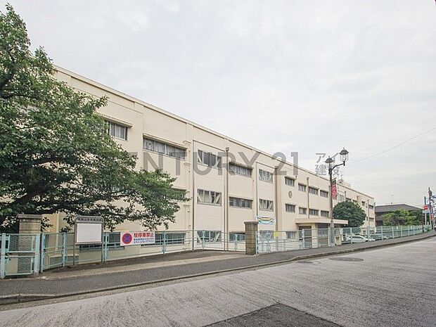 横浜市立富岡小学校（約1,200m）