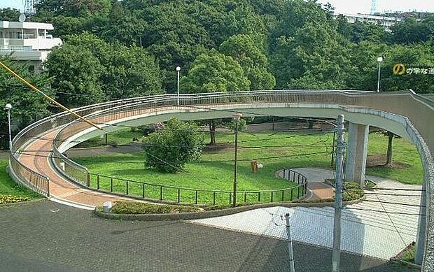 白根公園(約650m)