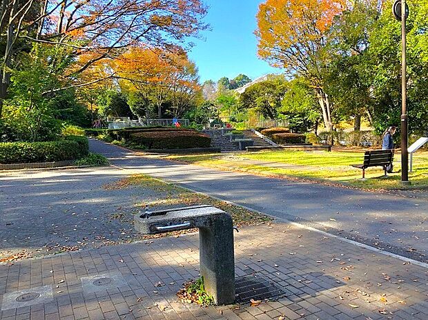 竹山中公園(約580m)