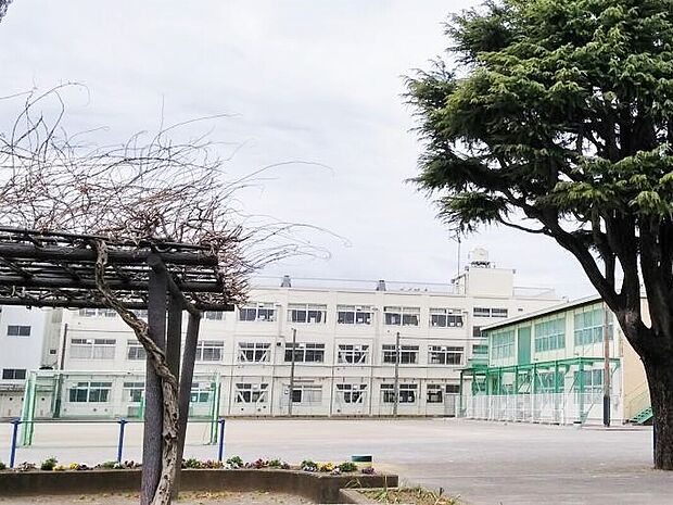 横浜市立南瀬谷小学校(約570m)