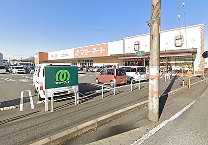 マミーマート 松戸新田店 1000m(13分)