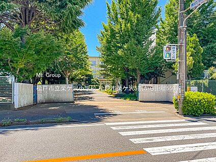 松戸市立栗ケ沢小学校 550m(7分)