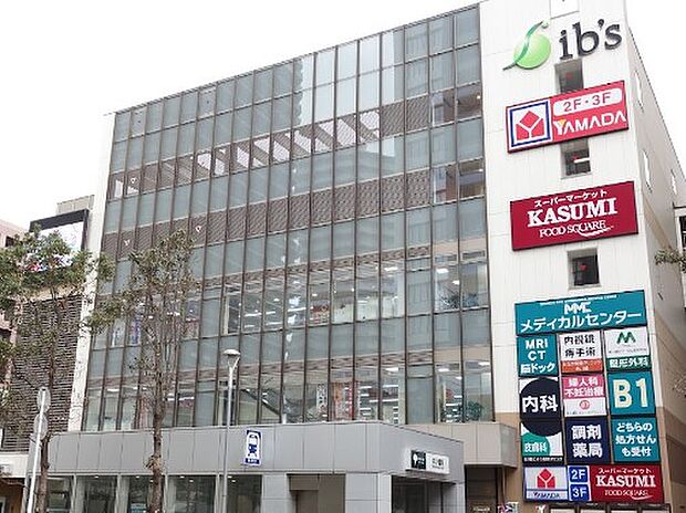 ターミナルシティ本八幡 アイビス(約2,400m・徒歩30分)