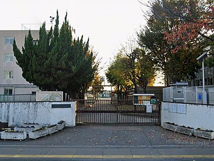 草加市立新栄中学校 800m(10分)