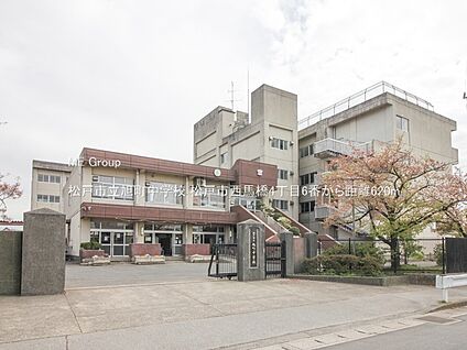 松戸市立旭町中学校 620m(8分)
