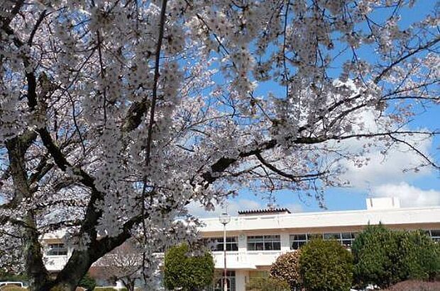 つくば市立島名小学校