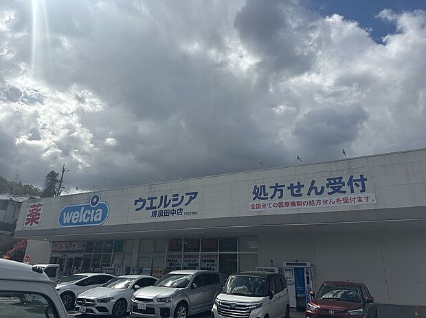 ウエルシア堺和泉田中店（約700m）