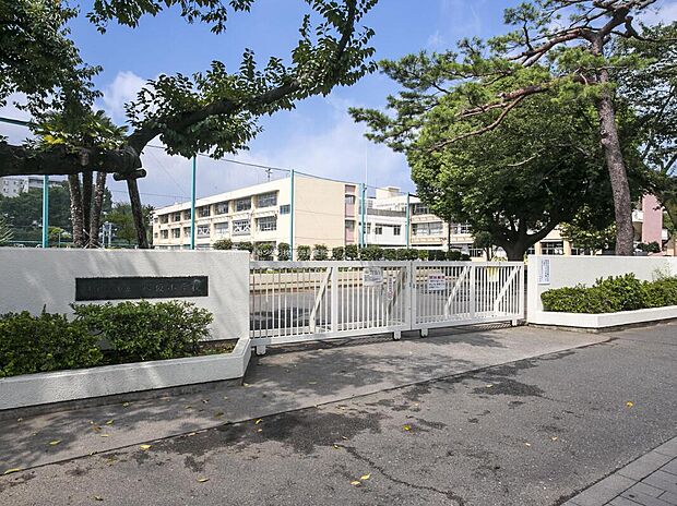 東村山市立八坂小学校(約350m)