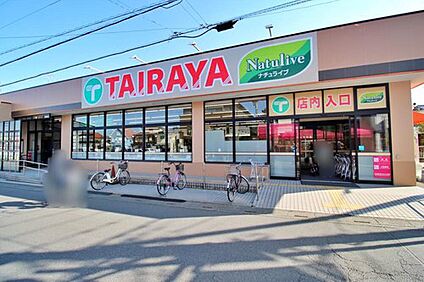 TAIRAYA狭山ヶ丘店 238m(徒歩3分)