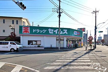 ドラッグセイムス東狭山ヶ丘店 480ｍ(徒歩6分)