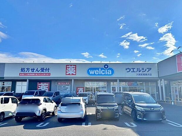 ウエルシア入間武蔵藤沢店（約599m）