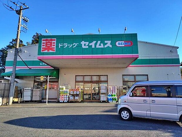 ドラッグセイムス仏子店（約1,173m）
