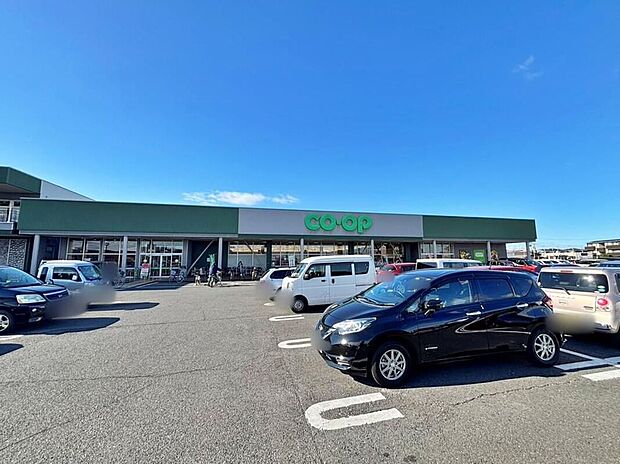 コープ武蔵藤沢店(約506m)