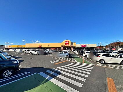 ベルクベスタ狭山店 1252m(徒歩16分)