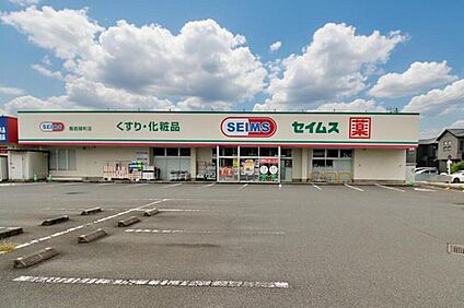 ドラッグセイムス飯能緑町店 370ｍ(徒歩5分)