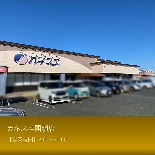 カネスエ 開明店