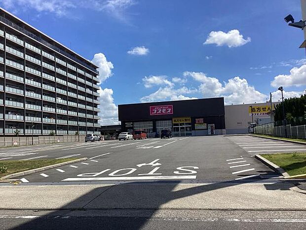 ドラッグストアコスモス 大高南店（約1,600m・徒歩20分）