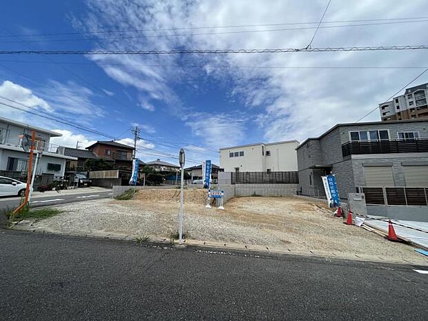 【好評分譲中です♪】好評分譲中です（2025年4月撮影）