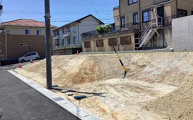 現地写真 A号地(2024年6月撮影)