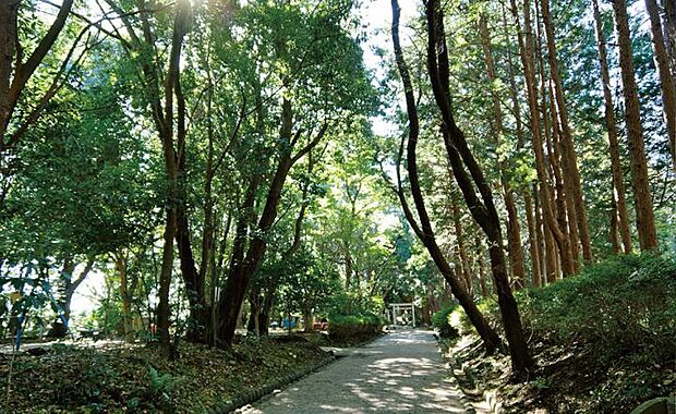 離宮院公園