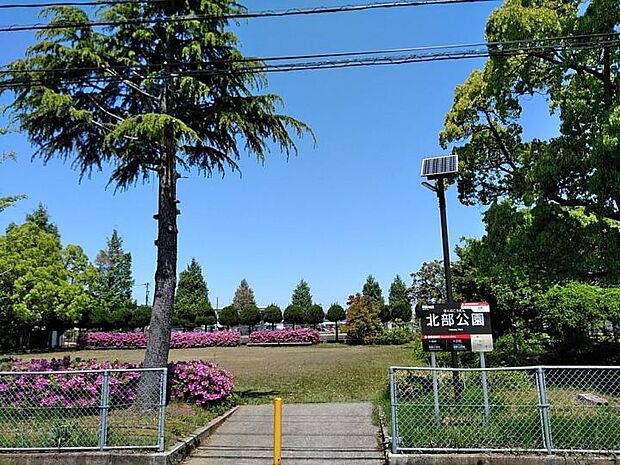 北部公園