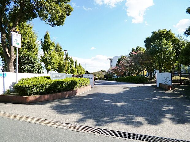 東海市立船島小学校(約400m)