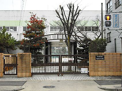 大杉小学校 166ｍ