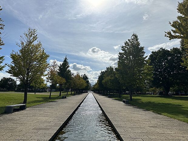 芳川公園