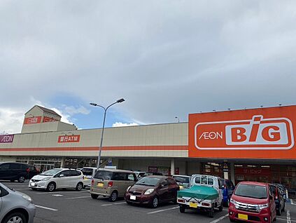 ザ・ビッグ 上田中央店 390m(徒歩5分)