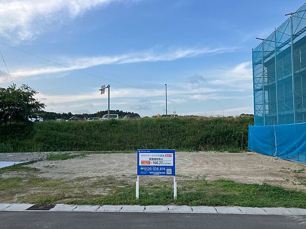 区画: 1（2025年7月撮影）