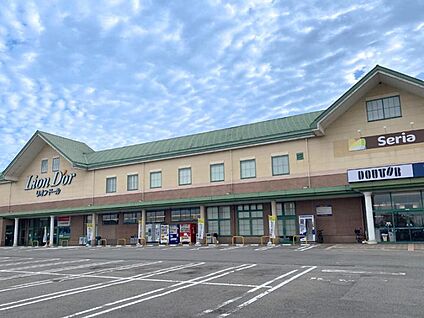 リオンドール滝沢店 約610～630m(徒歩8分)