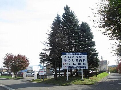 白山台メディックス 約970m(徒歩13分)