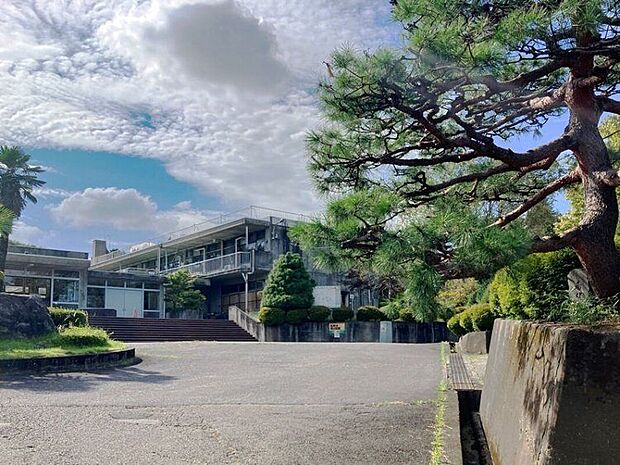 白河第一小学校(約1,100m)