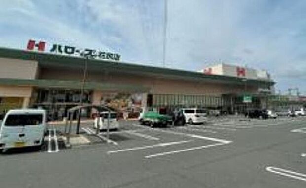 ハローズ花尻店（約2m）