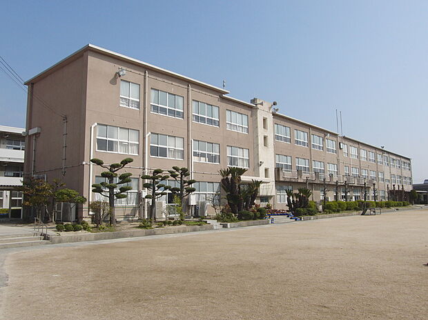 倉敷市立富田小学校(約445m)