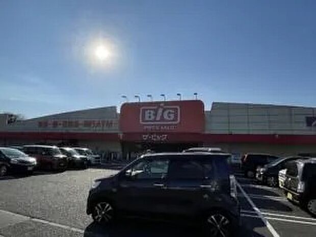 ザ・ビッグ（約1m）