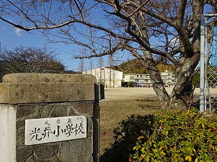 光井小学校 約290ｍ(徒歩4分)