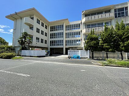 今宿小学校 約960ｍ(徒歩12分)