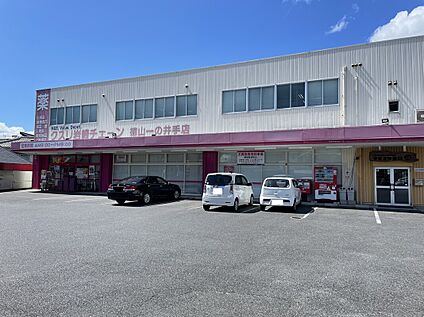 クスリ岩崎チェーン徳山一の井手店 約1200ｍ(徒歩15分)