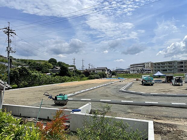 1号地全体・周辺の写真です